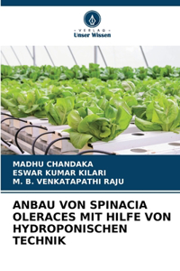 Anbau Von Spinacia Oleraces Mit Hilfe Von Hydroponischen Technik