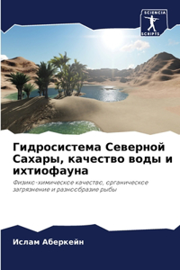 Гидросистема Северной Сахары, качество во