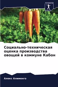 Социально-техническая оценка производст&