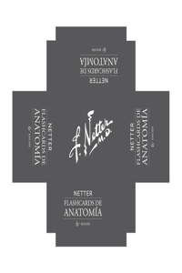 Netter. Flashcards de Anatomía