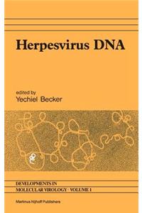 Herpesvirus DNA