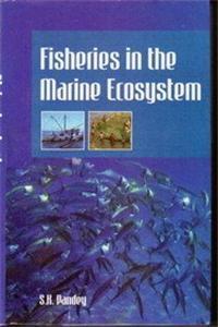 Fisheries In The Marine Ecosystem