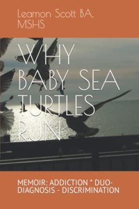 Why Baby Sea Turtles Run