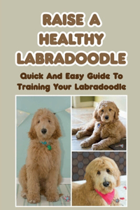 Raise A Healthy Labradoodle