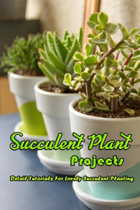 Succulent Plant Projects