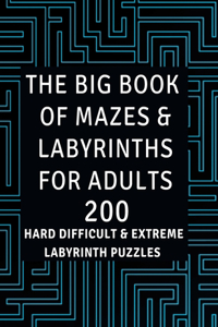 Big Book of Mazes & Labyrinths for Adults