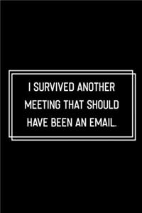 I Survived Another Meeting That Should Have Been An Email
