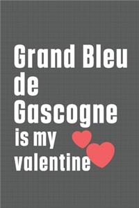 Grand Bleu de Gascogne is my valentine
