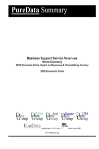 Business Support Service Revenues World Summary
