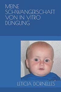 Meine Schwangerschaft Von in Vitro Düngung