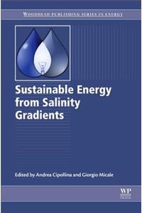 Sustainable Energy from Salinity Gradients