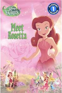 Disney Fairies: Meet Rosetta