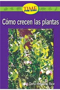 Como Crecen las Plantas