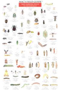 Mac's Field Guides: Northeast Garden Bugs