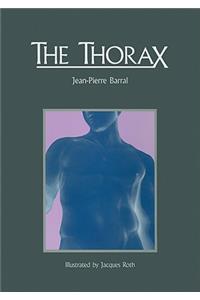 The Thorax