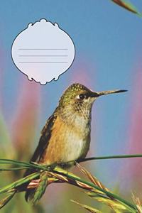 Pretty Pink & Blue Colorado Rocky Mountain Green Hummingbird College-Ruled Blank Line School Notebook