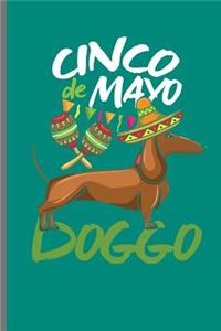 Cinco de Mayo Doggo