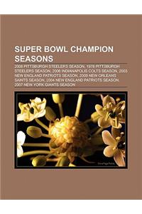 Super Bowl Champion Seasons