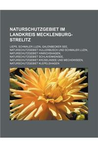 Naturschutzgebiet Im Landkreis Mecklenburg-Strelitz