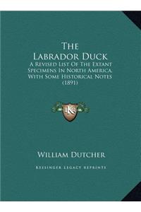The Labrador Duck
