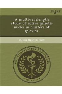 A Multiwavelength Study of Active Galactic Nuclei in Clusters of Galaxies