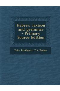 Hebrew Lexicon and Grammar - Primary Source Edition
