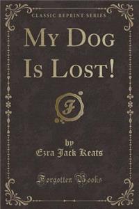 My Dog Is Lost! (Classic Reprint)