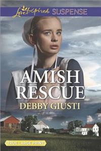 Amish Rescue