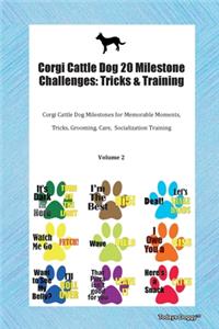 Corgi Cattle Dog 20 Milestone Challenges