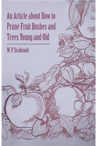 An Article About How to Prune Fruit Bushes and Trees Young and Old