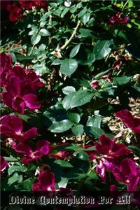 Divine Contemplation For All