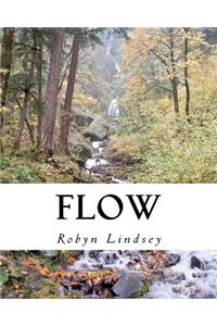 Flow
