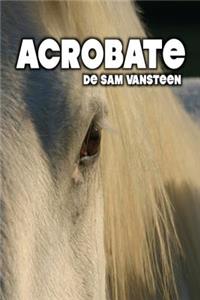 Acrobate