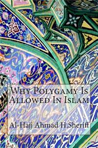 Why Polygamy Is Allowed In Islam
