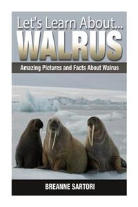 Walrus