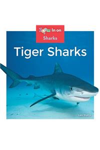 Tiger Sharks