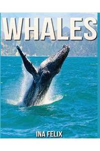 Whales