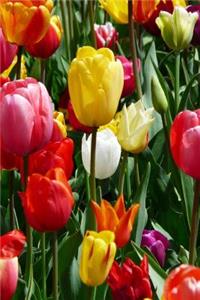 Bed of Tulips Flower Journal