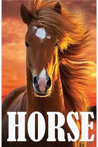 Horse: Password Keeper Book (an Internet Address and Password Journal)