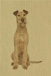 Irish Terrier