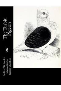 Turbit Pigeon