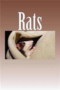 Rats