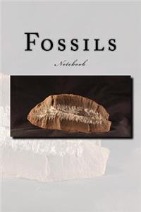 Fossils Notebook