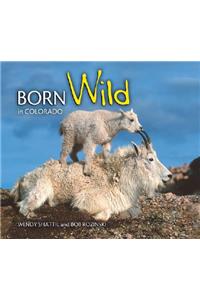 Born Wild in Colorado