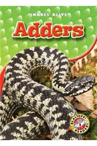 Adders