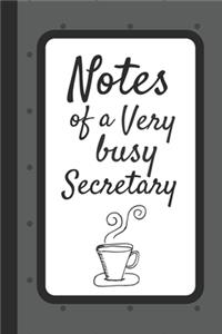 Notes of a Very Busy Secretary: Grey Notebook / Journal, Organiser / Organizer, 100 Ruled White Paper, Unique Fun Gift for Women Teens Her, Secretaries Receptionist