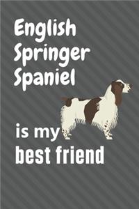 English Springer Spaniel is my best friend