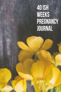 40ish Weeks Pregnancy Journal