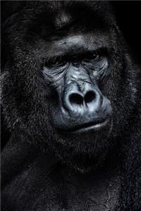 Save The Gorilla 2020 Weekly Monthly Planner