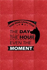 The Dog Lives For The Day The Hour Even The Moment